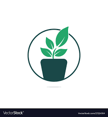 Plant and Plant